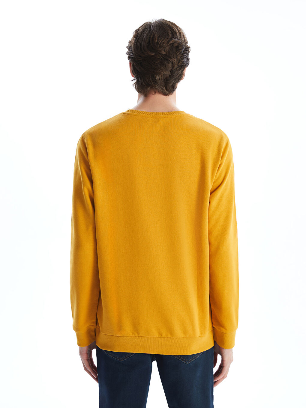 Crew Neck Long Sleeve Men's Sweatshirt-3