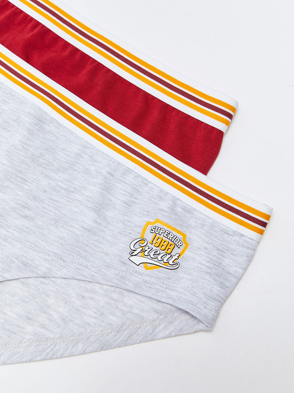 Gri Baskılı Bikini Külot 2'li-2