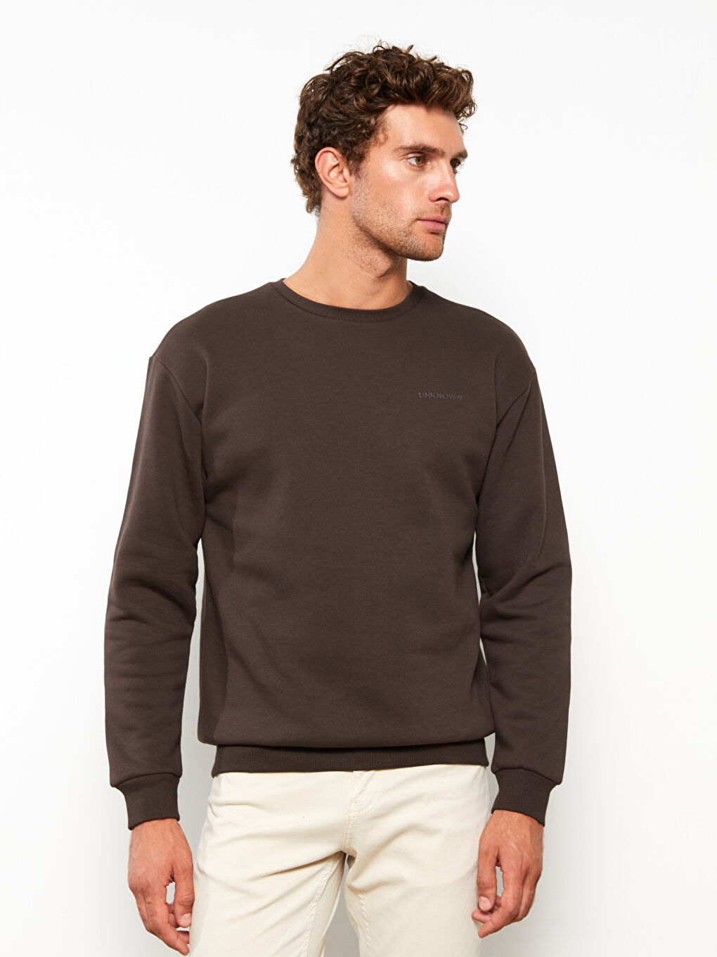 Kahverengi Bisiklet Yaka Uzun Kollu Nakışlı Erkek Kalın Sweatshirt-3