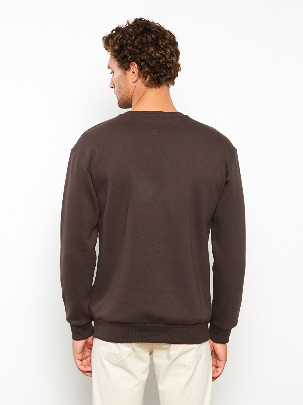 Kahverengi Bisiklet Yaka Uzun Kollu Nakışlı Erkek Kalın Sweatshirt-6