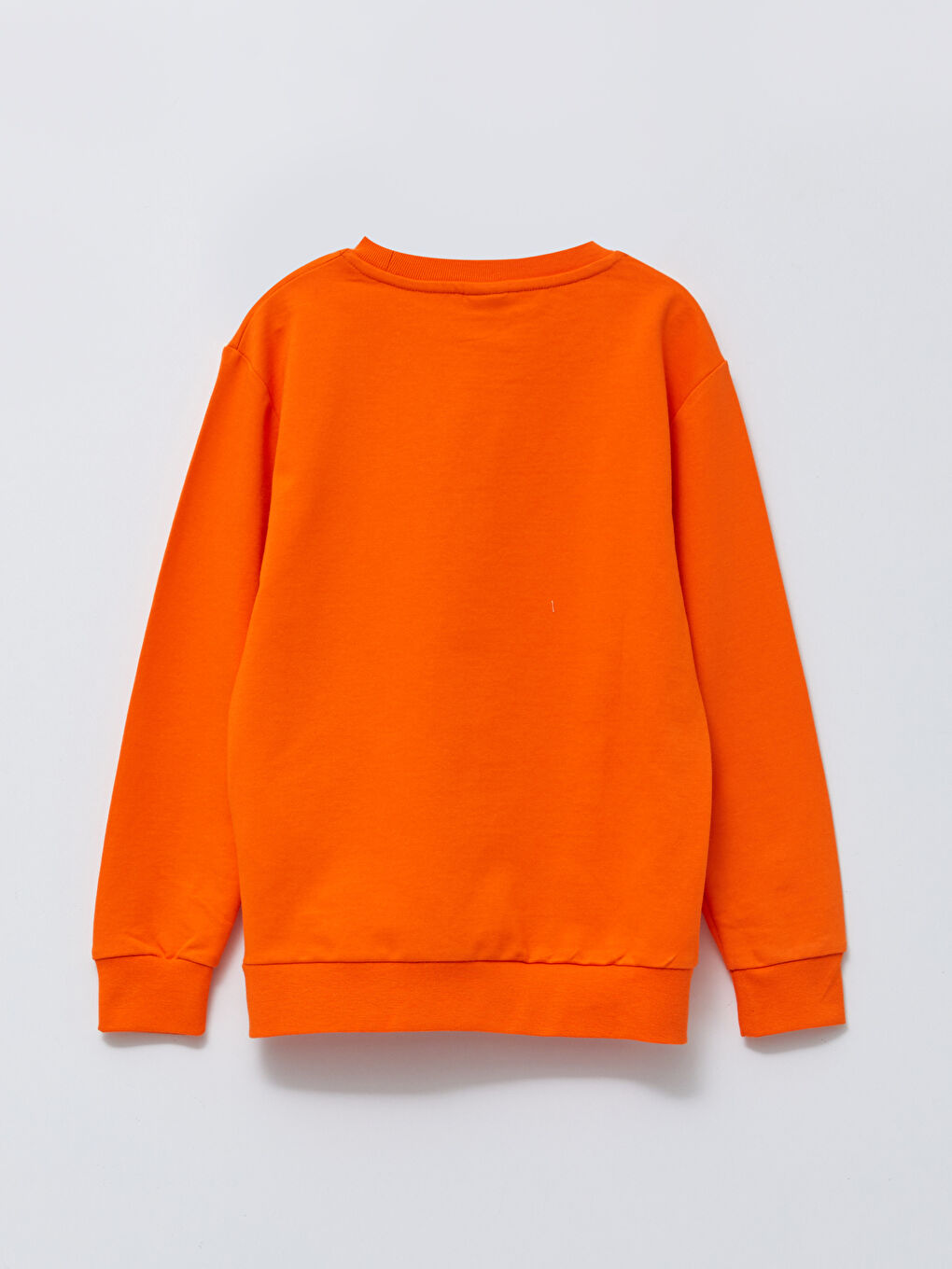 Crew Neck Printed Long Sleeve Boys' Sweatshirt-1