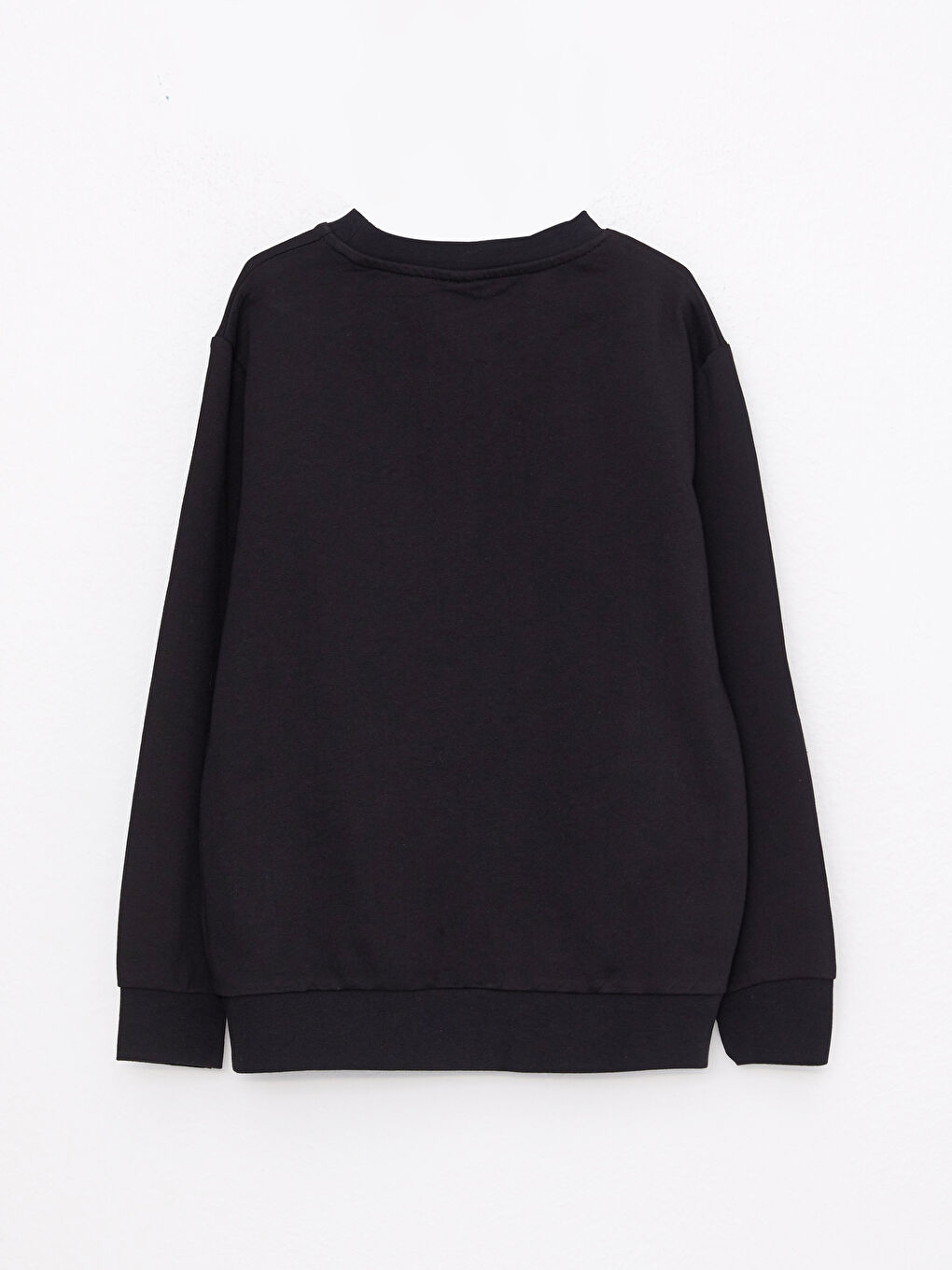 Crew Neck Printed Long Sleeve Boys' Sweatshirt-1