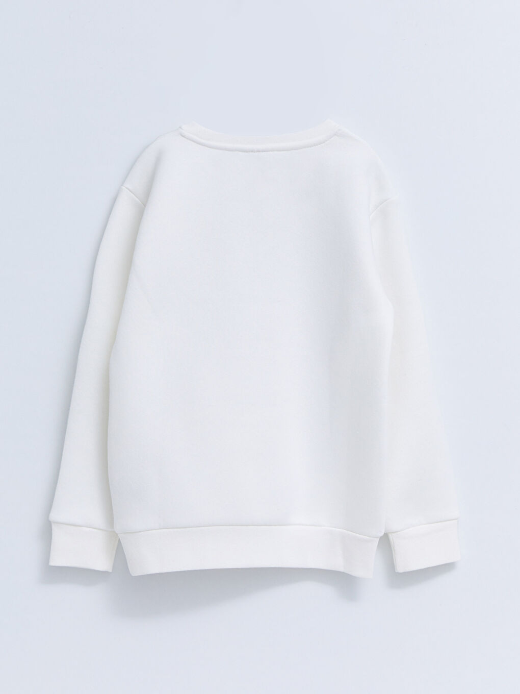 Crew Neck Printed Long Sleeve Boys' Sweatshirt-1