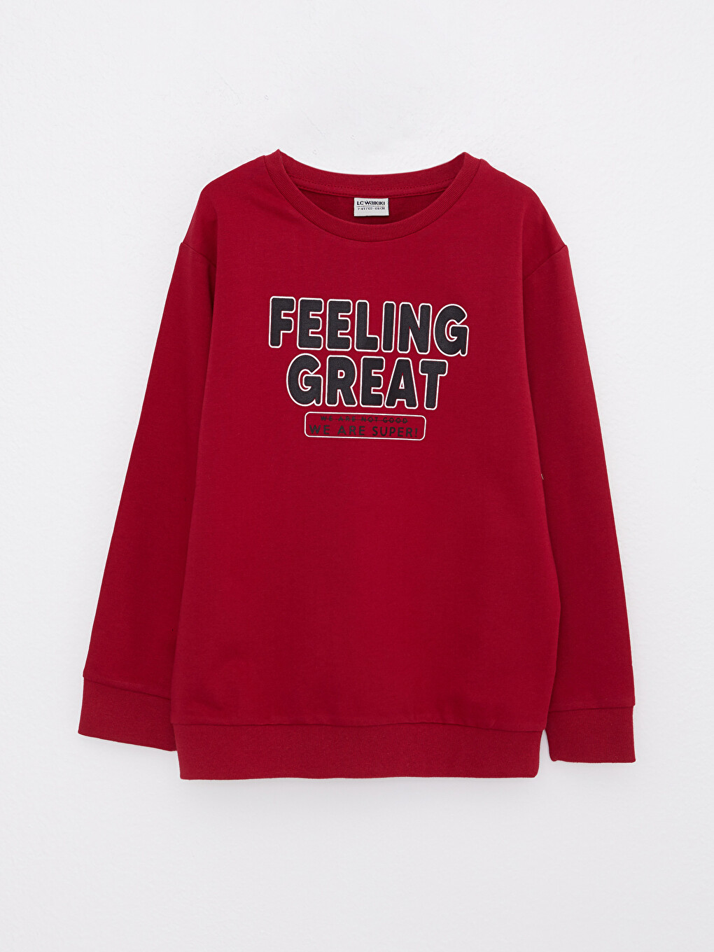 Crew Neck Printed Long Sleeve Boys' Sweatshirt