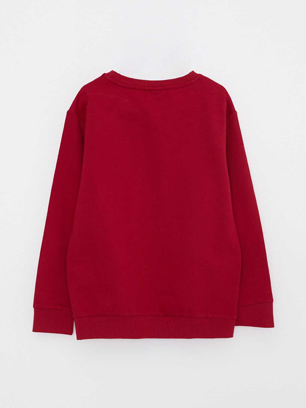 Crew Neck Printed Long Sleeve Boys' Sweatshirt-1