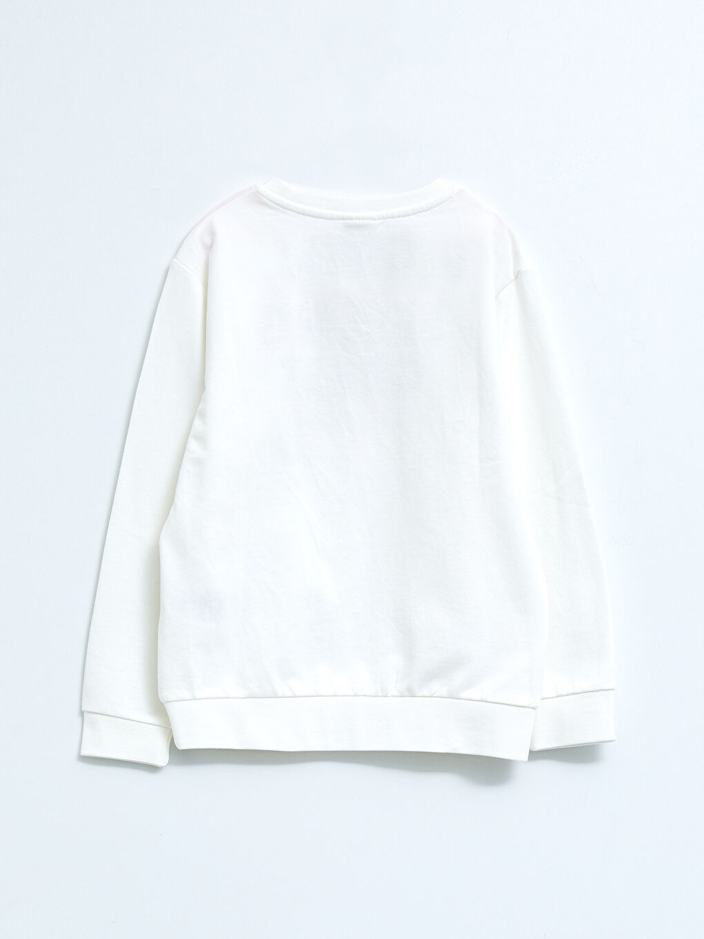 Crew Neck Printed Long Sleeve Boys' Sweatshirt-1