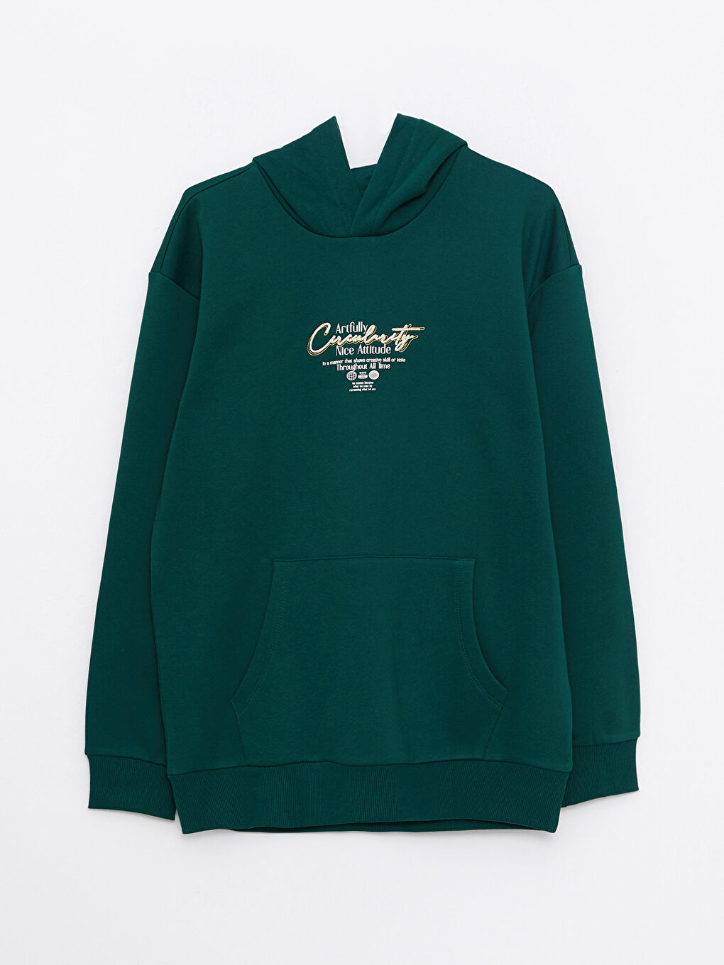 XSIDE Uzun Kollu Baskılı Erkek Kalın Hoodie -W29950Z8-SHY