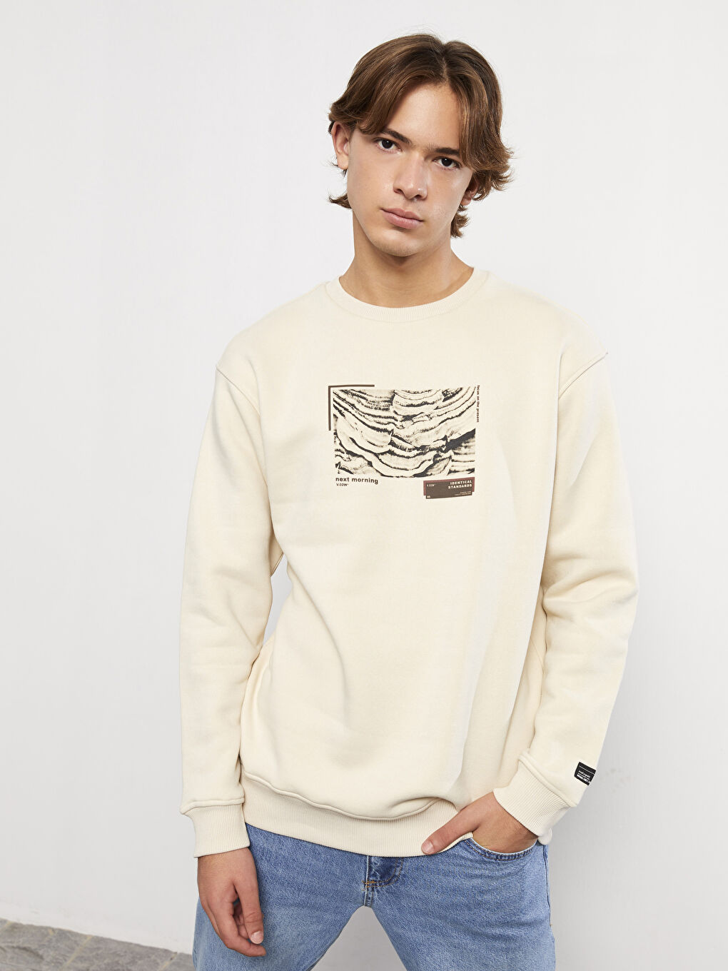 Crew Neck Printed Men's Thick Sweatshirt-1
