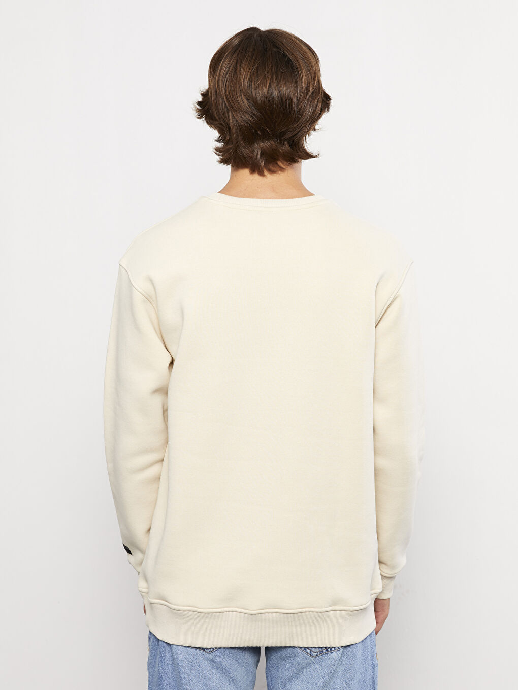 Crew Neck Printed Men's Thick Sweatshirt-4