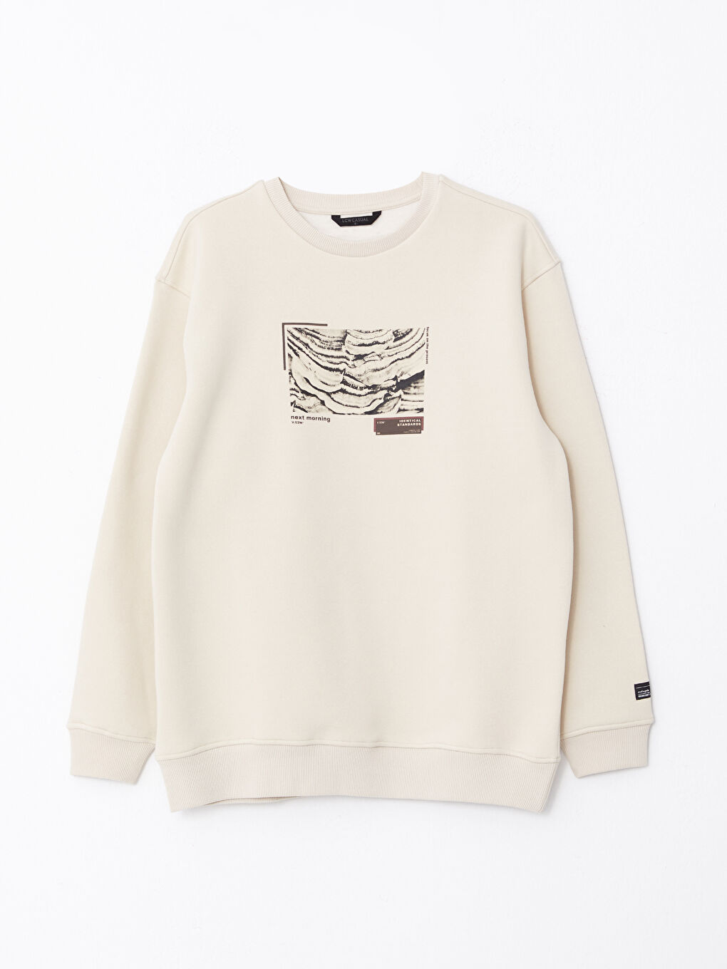 Crew Neck Printed Men's Thick Sweatshirt-5