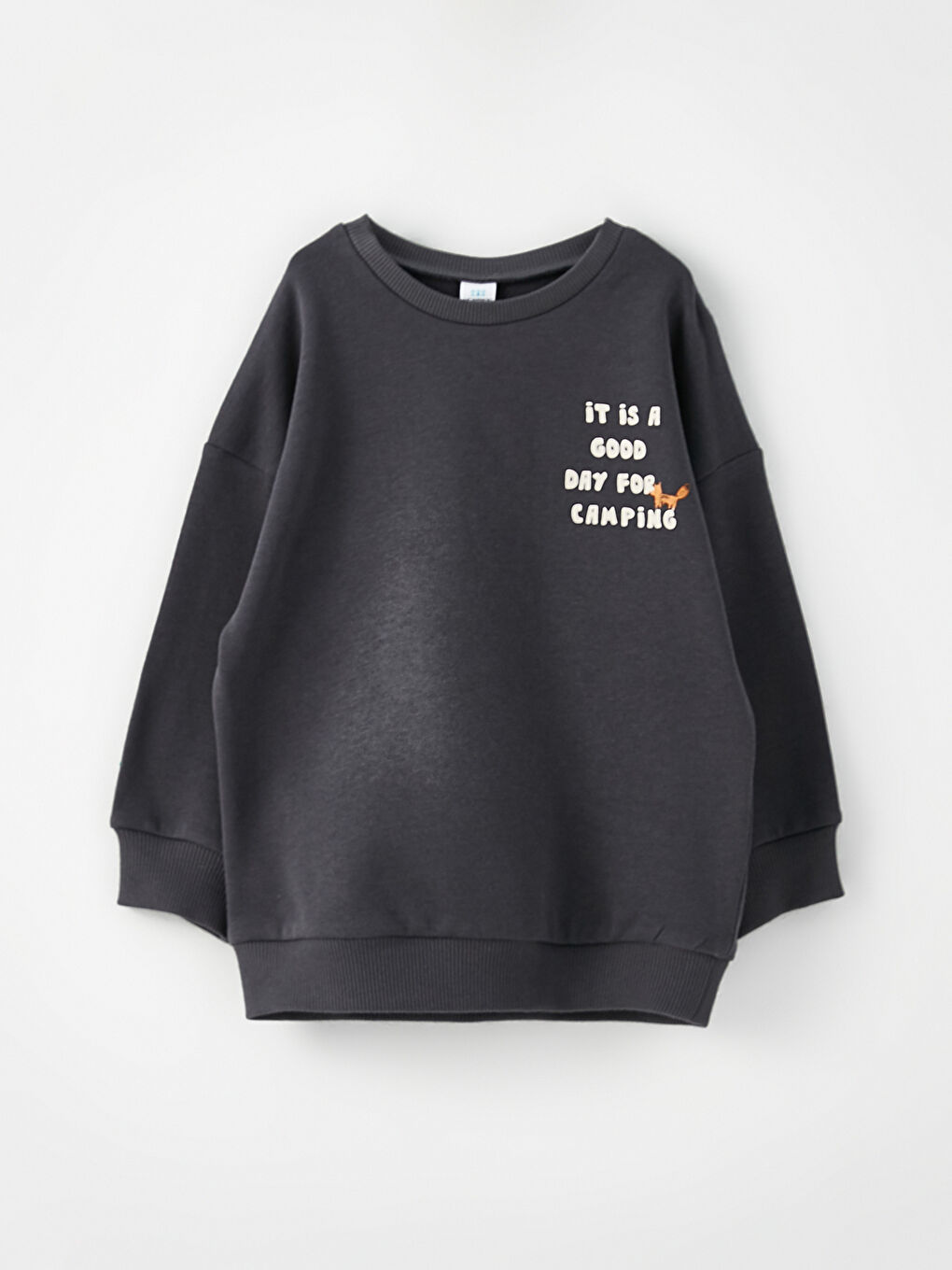 LCW baby Açık Bej Uzun Kollu Baskılı Pamuklu Erkek Bebek Sweatshirt 2'li - 1