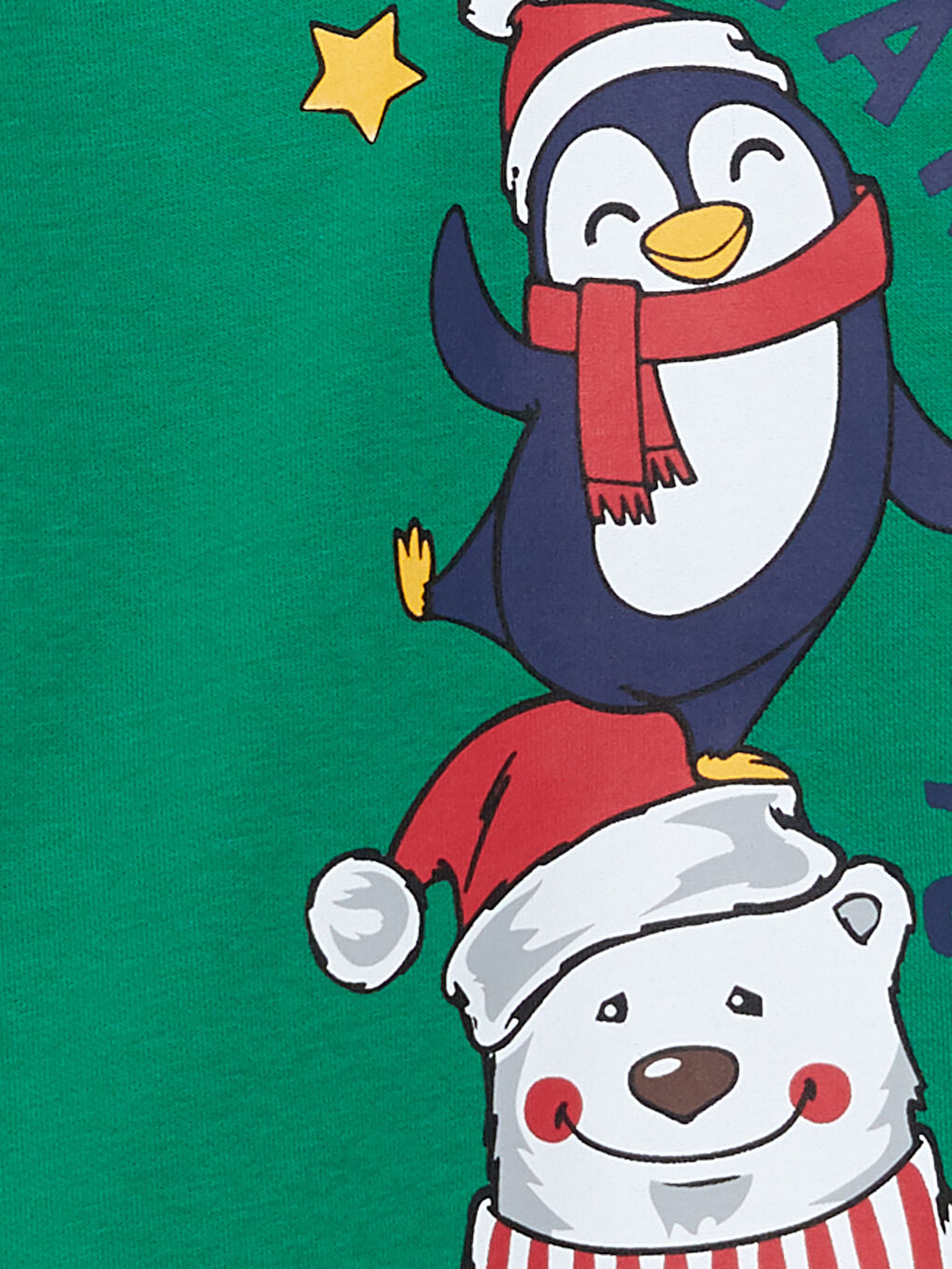 Hooded New Year Themed Long Sleeve Boy Sweatshirt-6