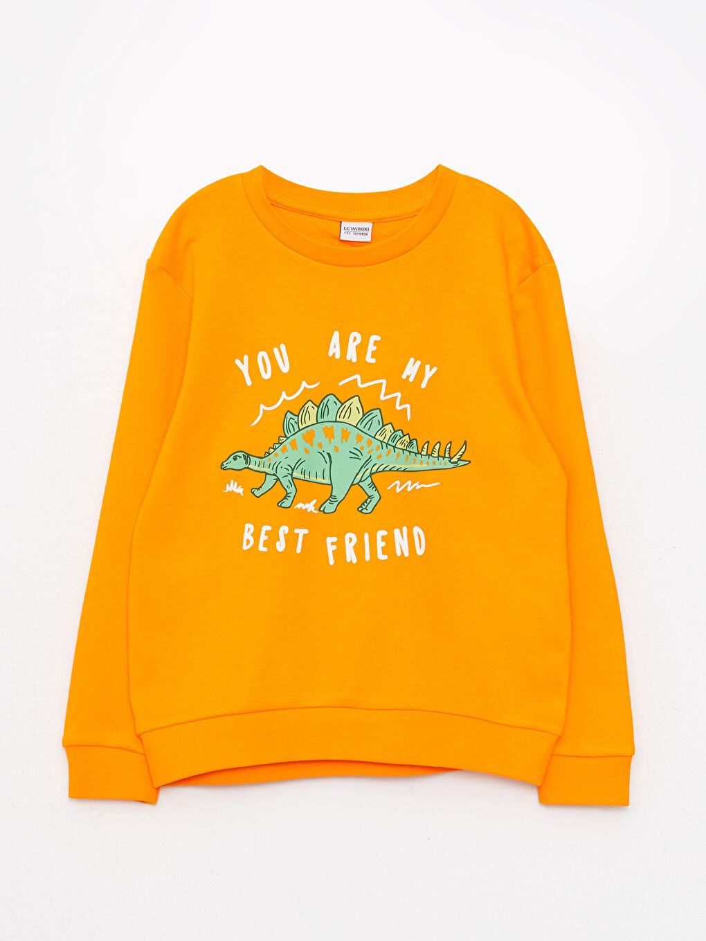 Tricou cu Mânecă Lungă Imprimat Guler Rotund pentru Băieți