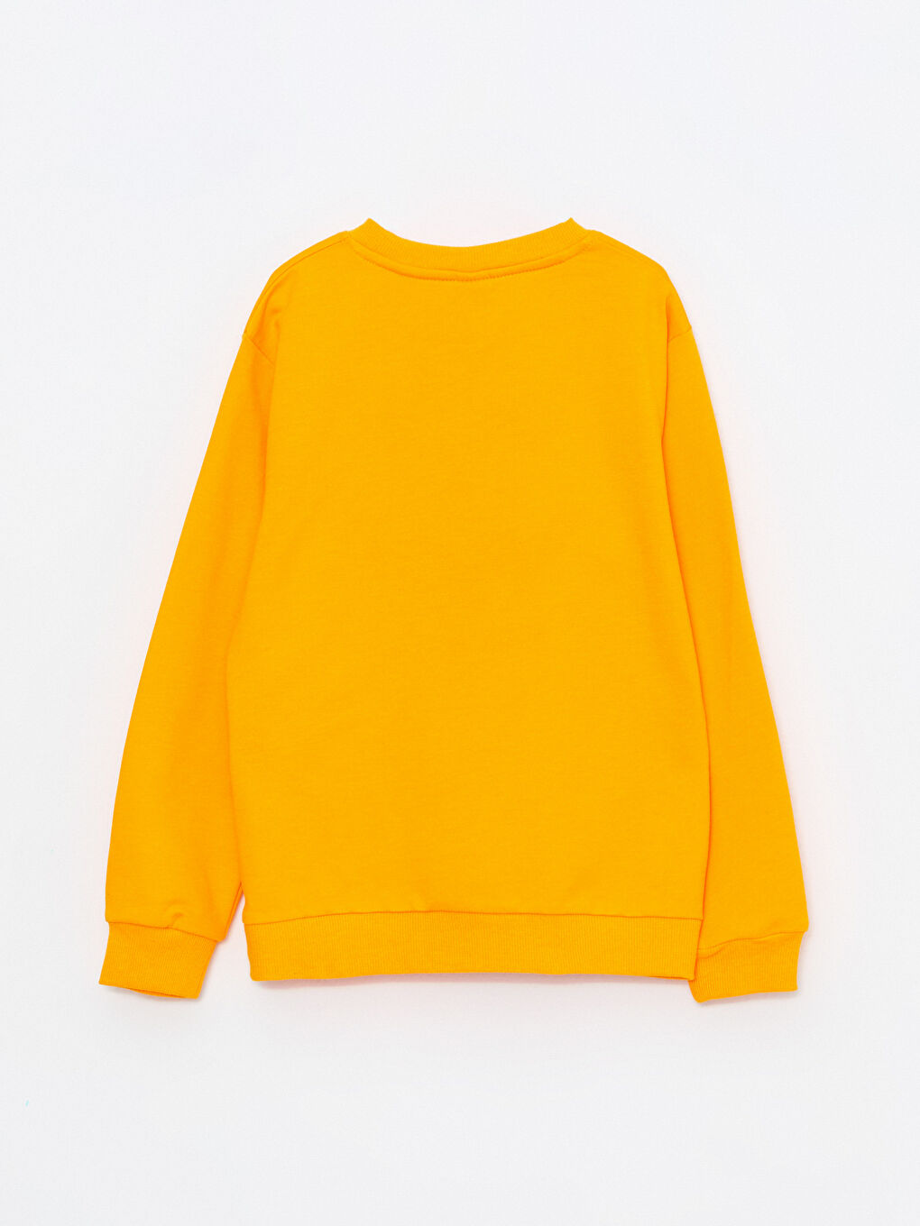 LCW Kids Crew Neck Embroidered Long Sleeve Boy Sweatshirt -W2AR50Z4-FKV