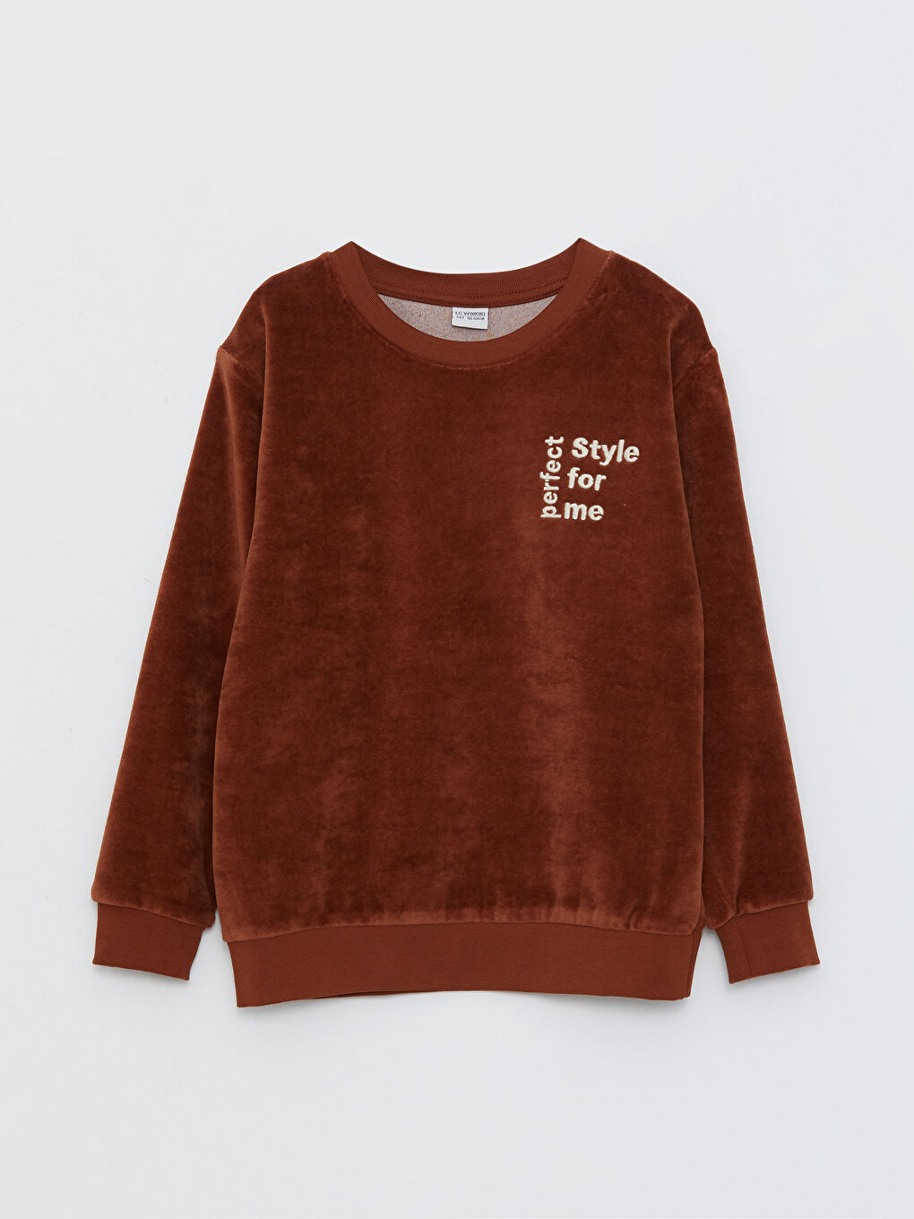 LCW Kids Kahverengi Bisiklet Yaka Nakışlı Uzun Kollu Erkek Çocuk Sweatshirt - 2