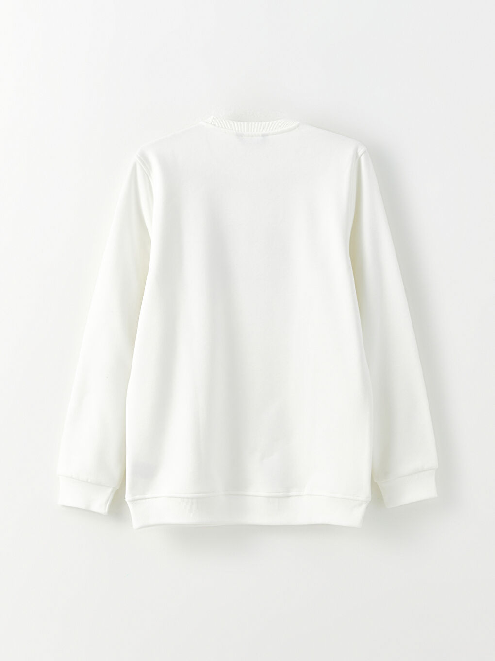 Crew Neck Printed Men's Thick Sweatshirt-1