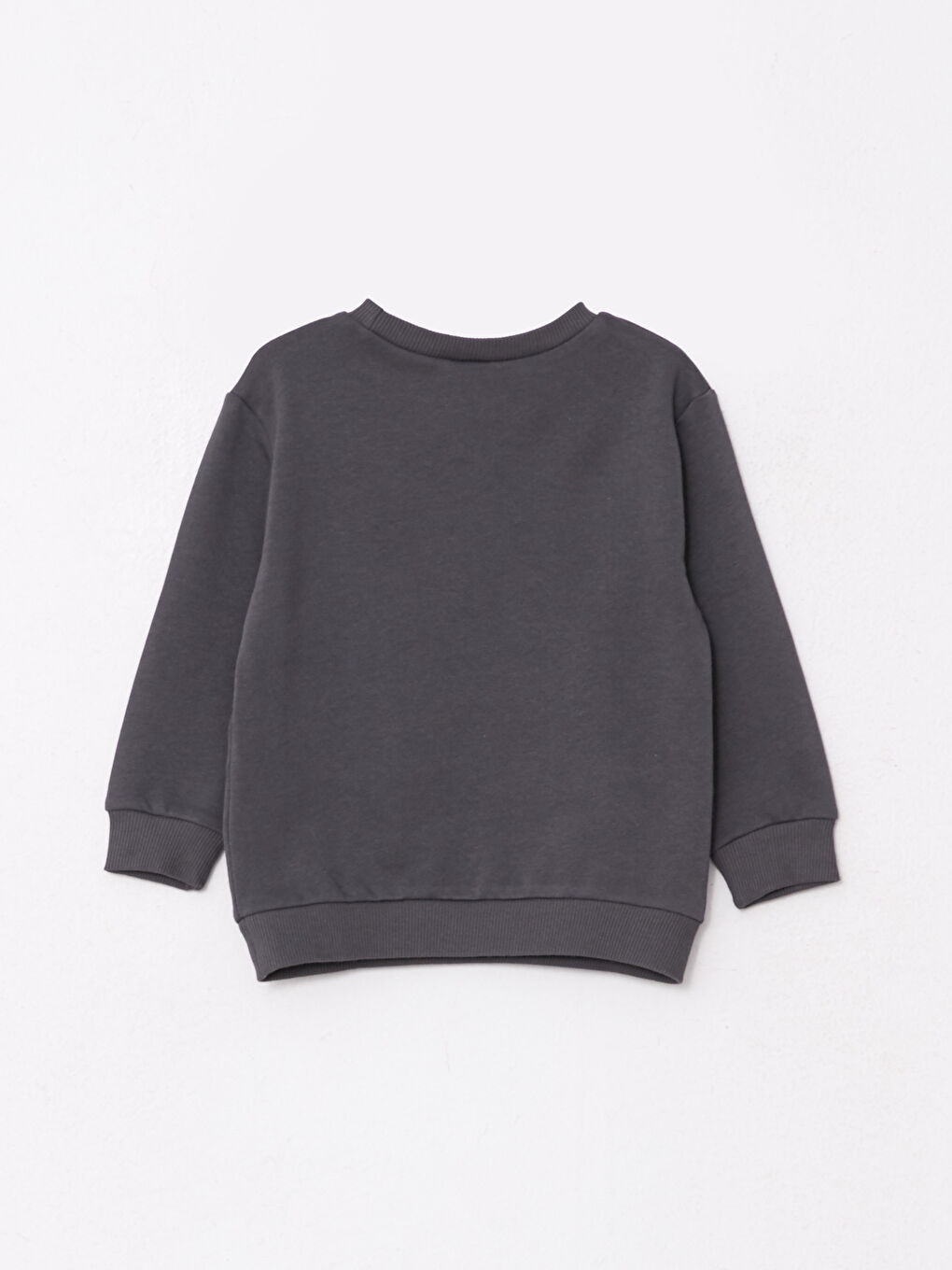 Crew Neck Long Sleeve Printed Baby Boys' Sweatshirt-1