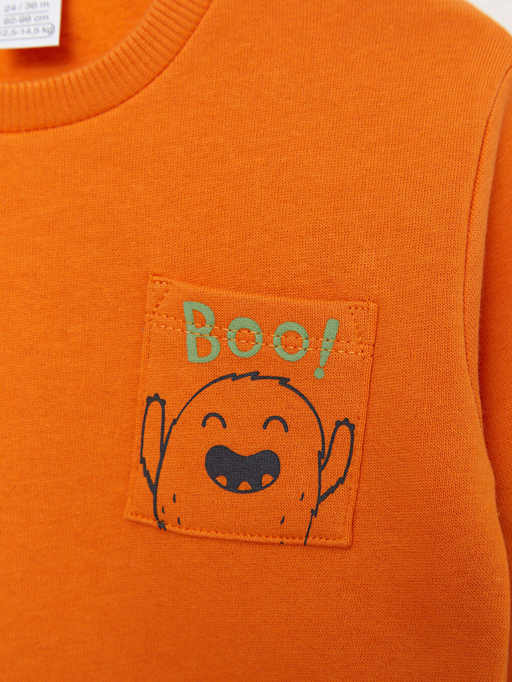 LCW baby Rundhalsausschnitt Langarm Bedrucktes Baby Jungen Sweatshirt 2er-Pack -W2BF61Z1-HGL