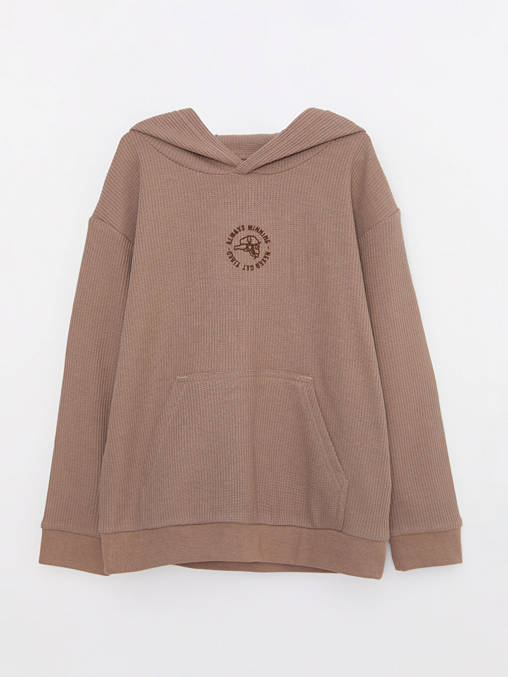 Hooded Embroidery Detailed Long Sleeve Boy Sweatshirt