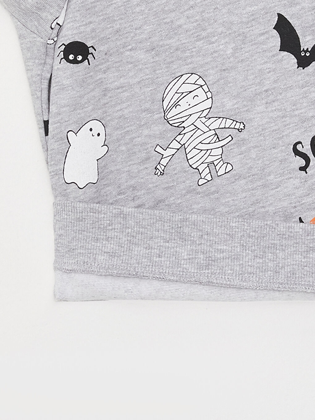 LCW baby H12 Crew Neck Printed Long Sleeve Baby Boy Sweatshirt -W2BJ98Z1-LRW