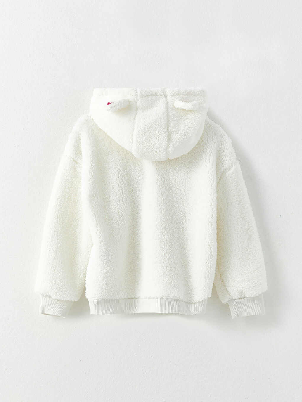 LCW Kids Kapuzensweatshirt Bestickt Langarm Plüsch Mädchen Sweatshirt -W2BN71Z4-R9J