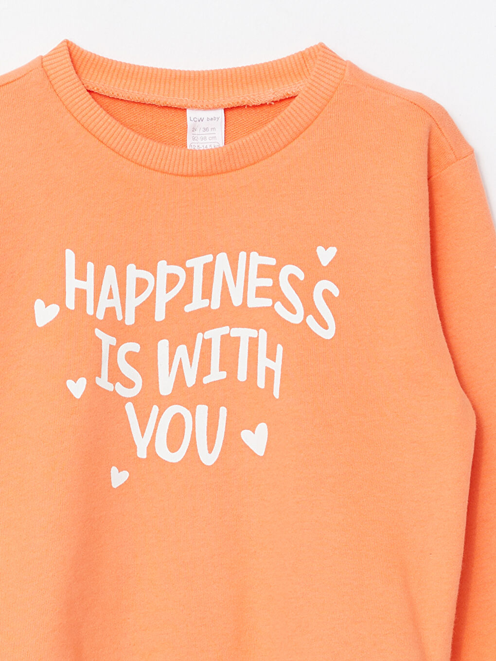 Crew Neck Long Sleeve Printed Baby Girls' Sweatshirt-1