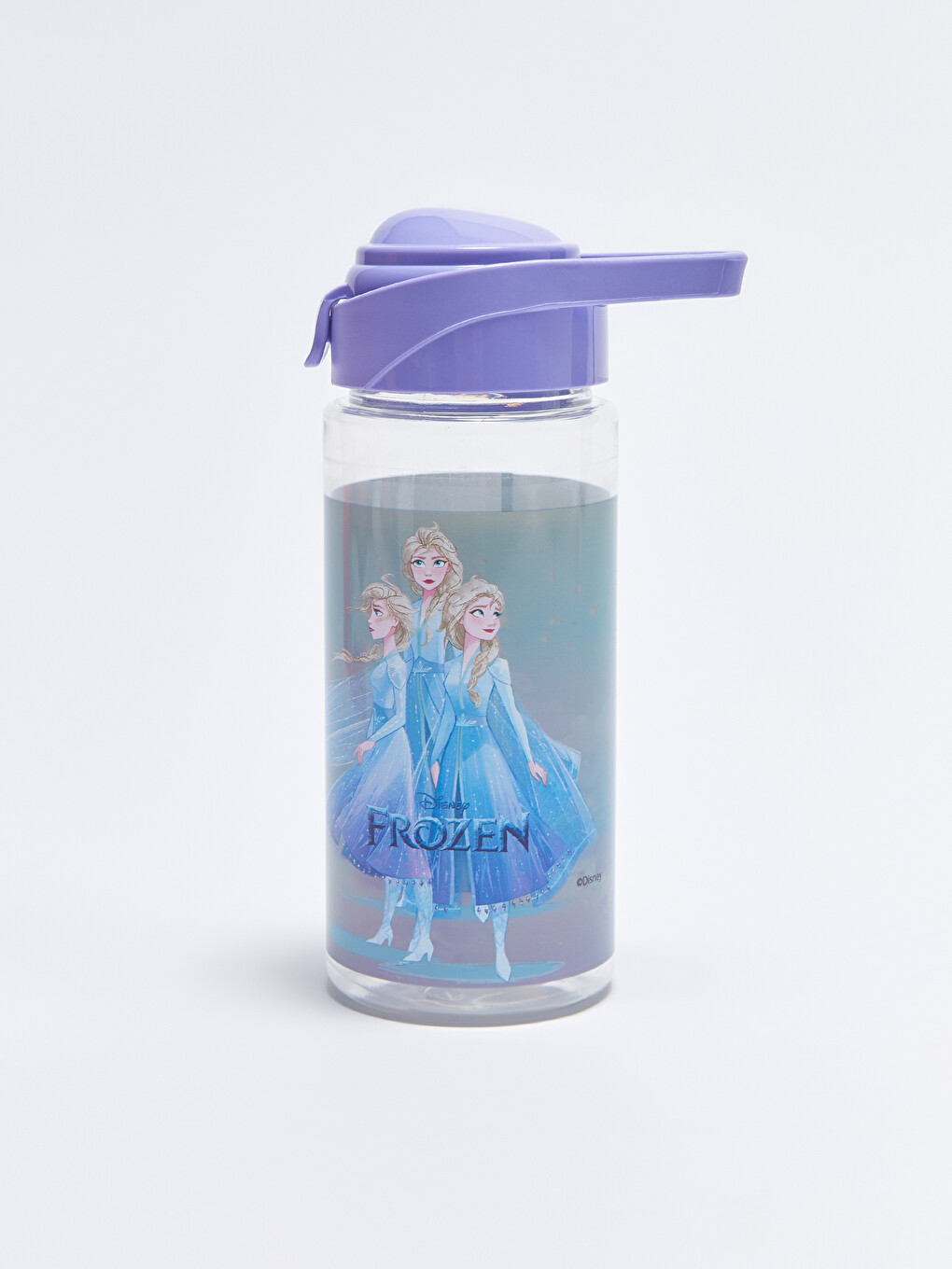 Karışık Frozen Lisanslı Kız Çocuk Suluk 630 ml