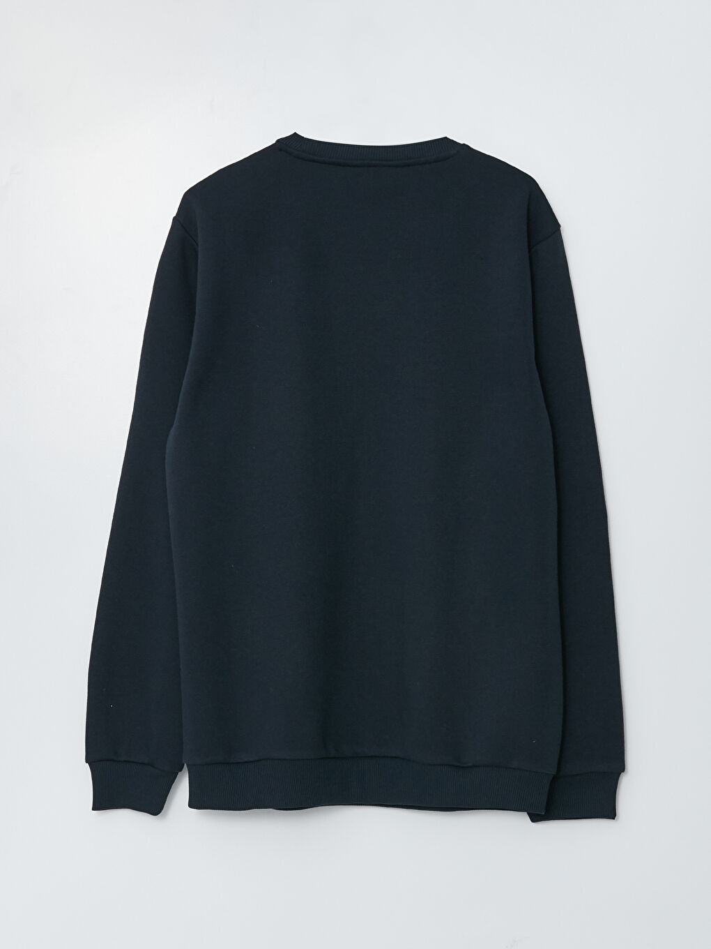 Crew Neck Printed Men's Thick Sweatshirt-1