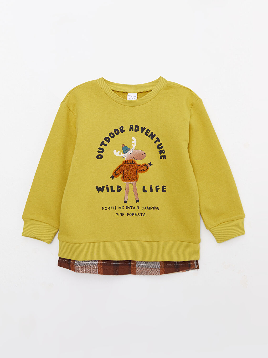 Crew Neck Long Sleeve Printed Baby Boys' Sweatshirt-2