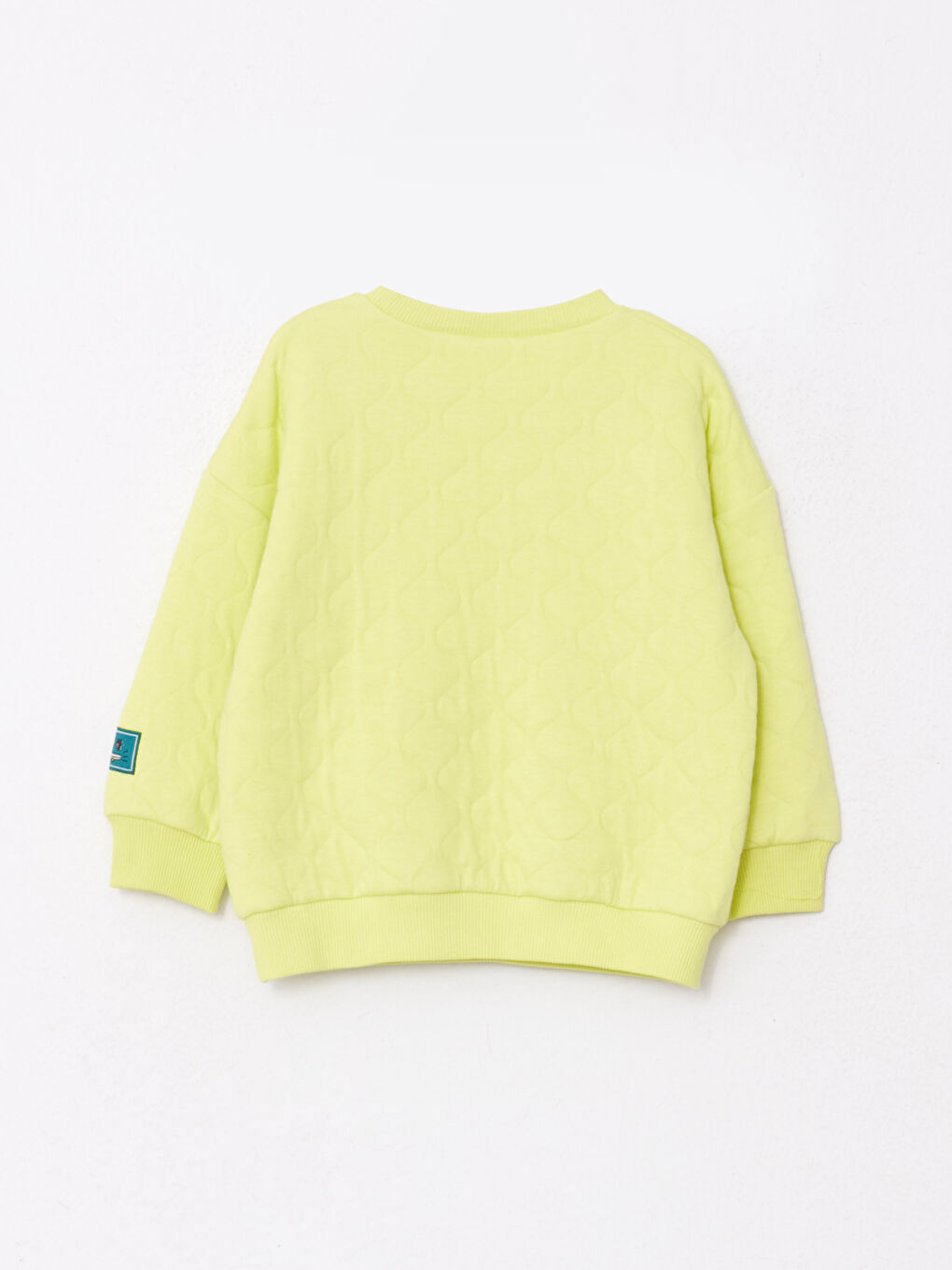 LCW baby Bisiklet Yaka Uzun Kollu Basic Erkek Bebek Sweatshirt -W2CA69Z1-FVK