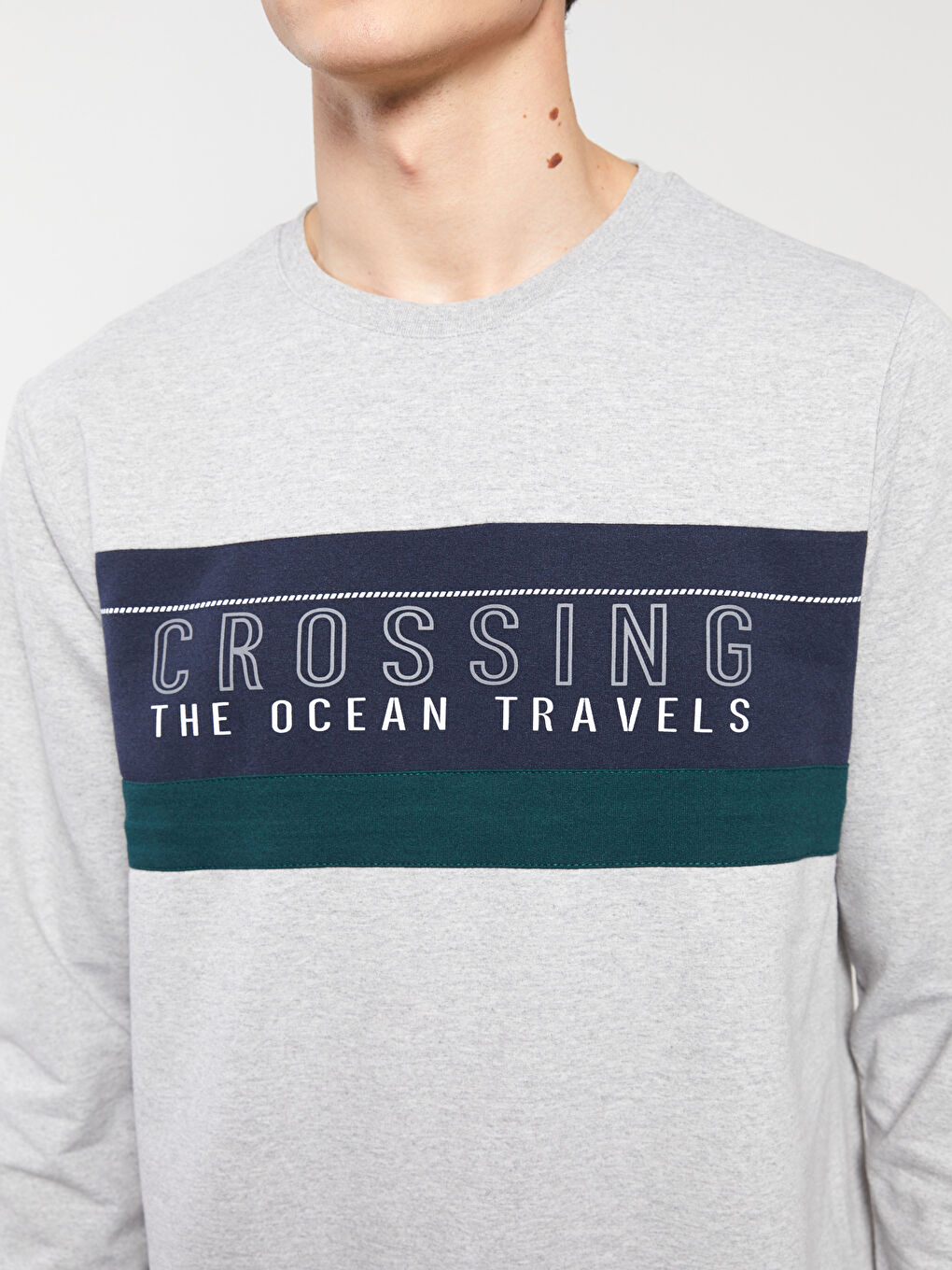Crew Neck Long Sleeve Printed Men's Sweatshirt-3