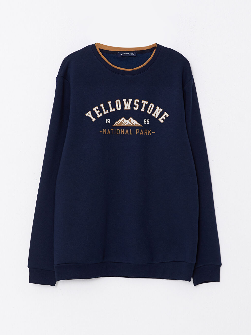 Crew Neck Printed Men's Thick Sweatshirt-6