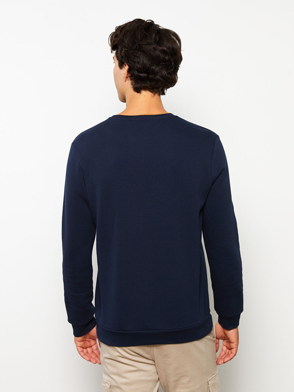 Crew Neck Printed Men's Thick Sweatshirt-1