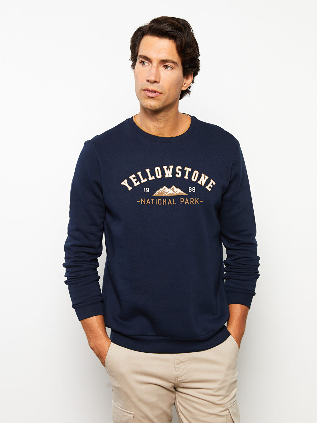 Crew Neck Printed Men's Thick Sweatshirt-3