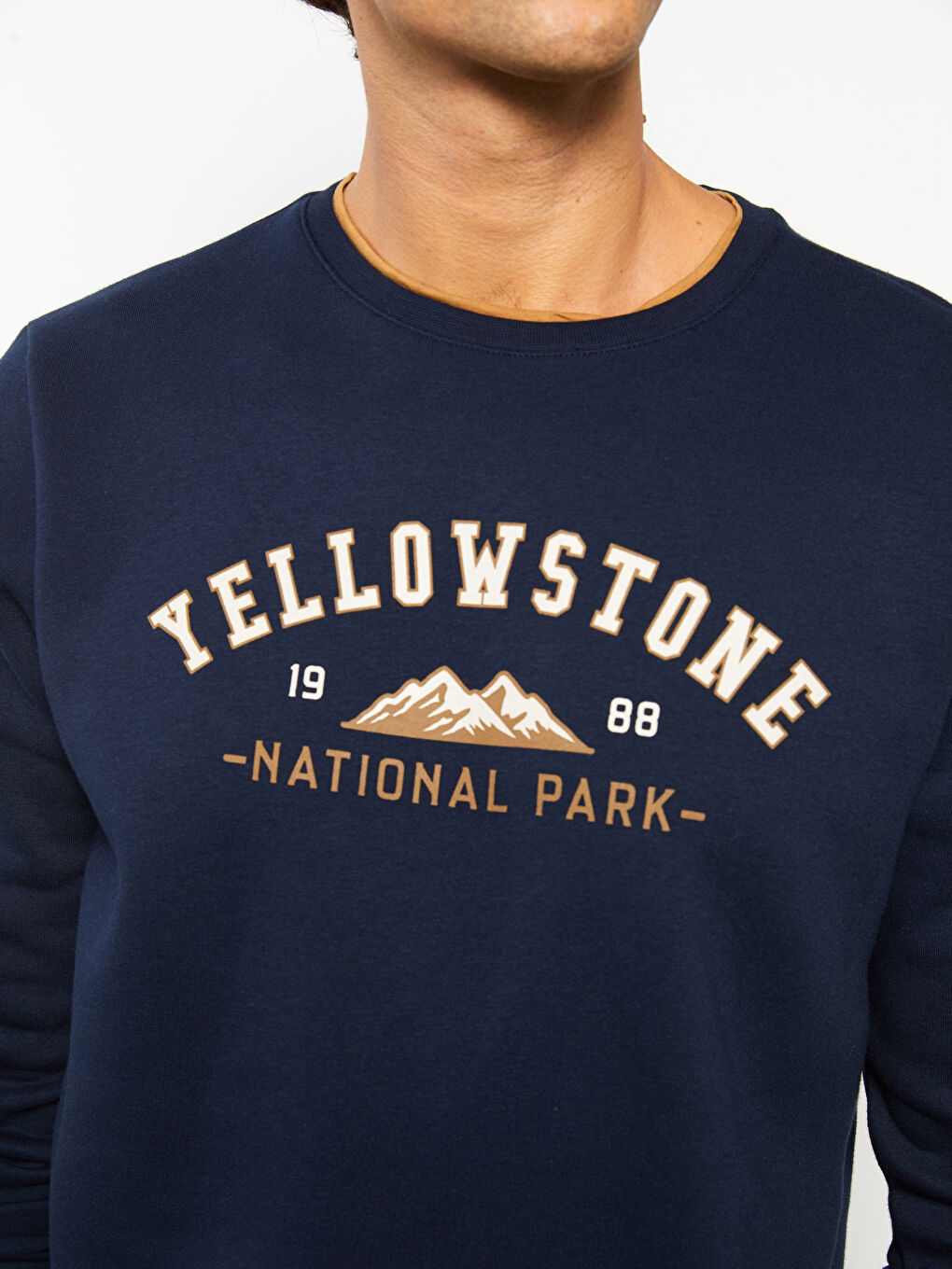 Crew Neck Printed Men's Thick Sweatshirt-4