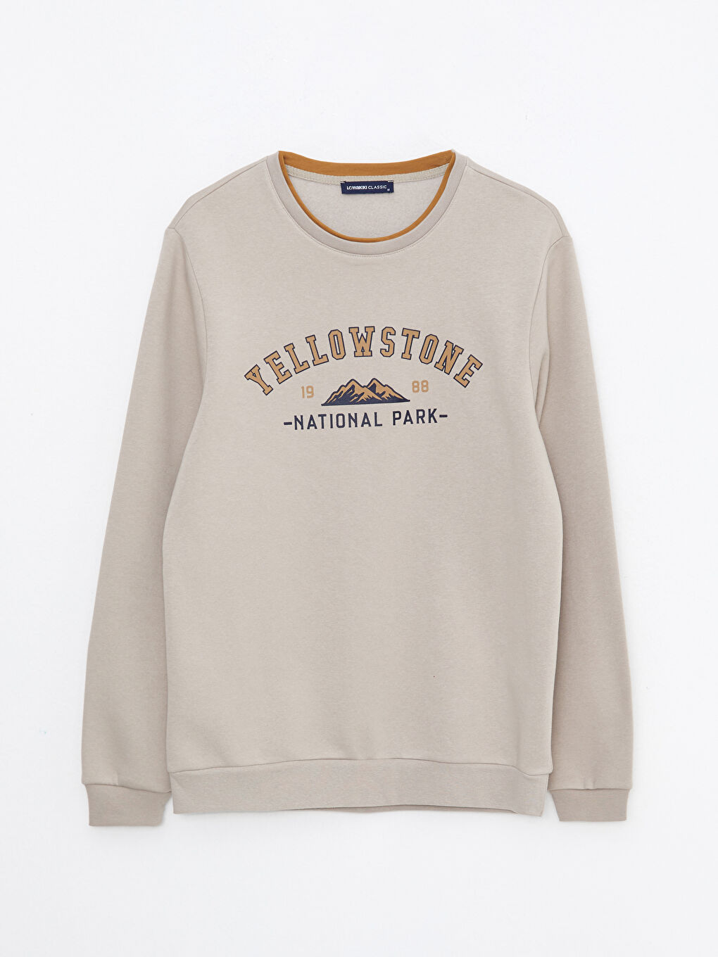 Crew Neck Printed Men's Thick Sweatshirt-5