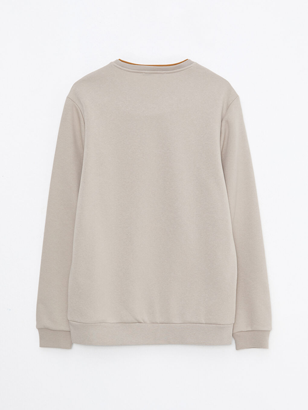 Crew Neck Printed Men's Thick Sweatshirt-6