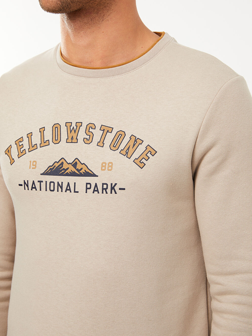 Crew Neck Printed Men's Thick Sweatshirt-3