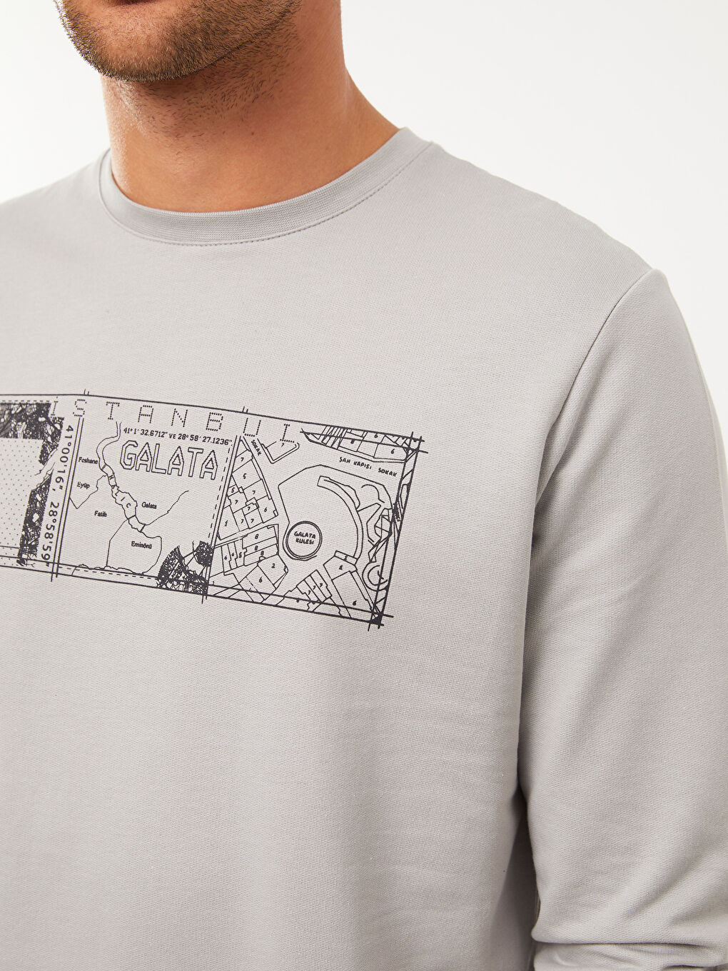 Crew Neck Long Sleeve Printed Men's Sweatshirt-3