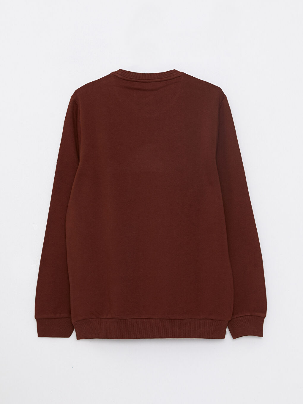 Crew Neck Printed Men's Thick Sweatshirt-6