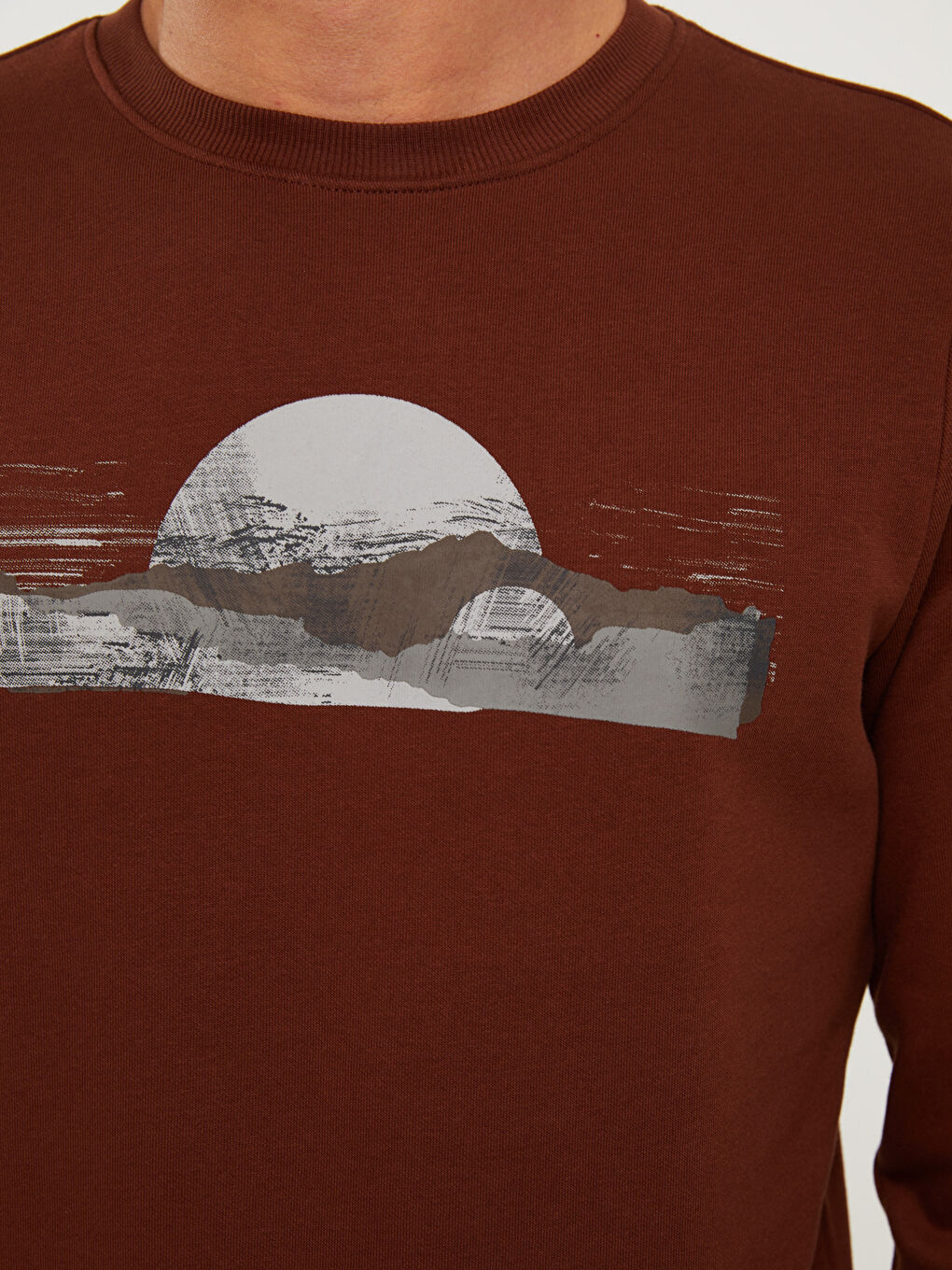 Crew Neck Printed Men's Thick Sweatshirt-3