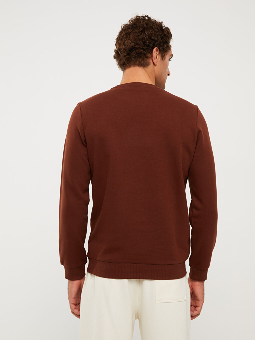 Crew Neck Printed Men's Thick Sweatshirt-4