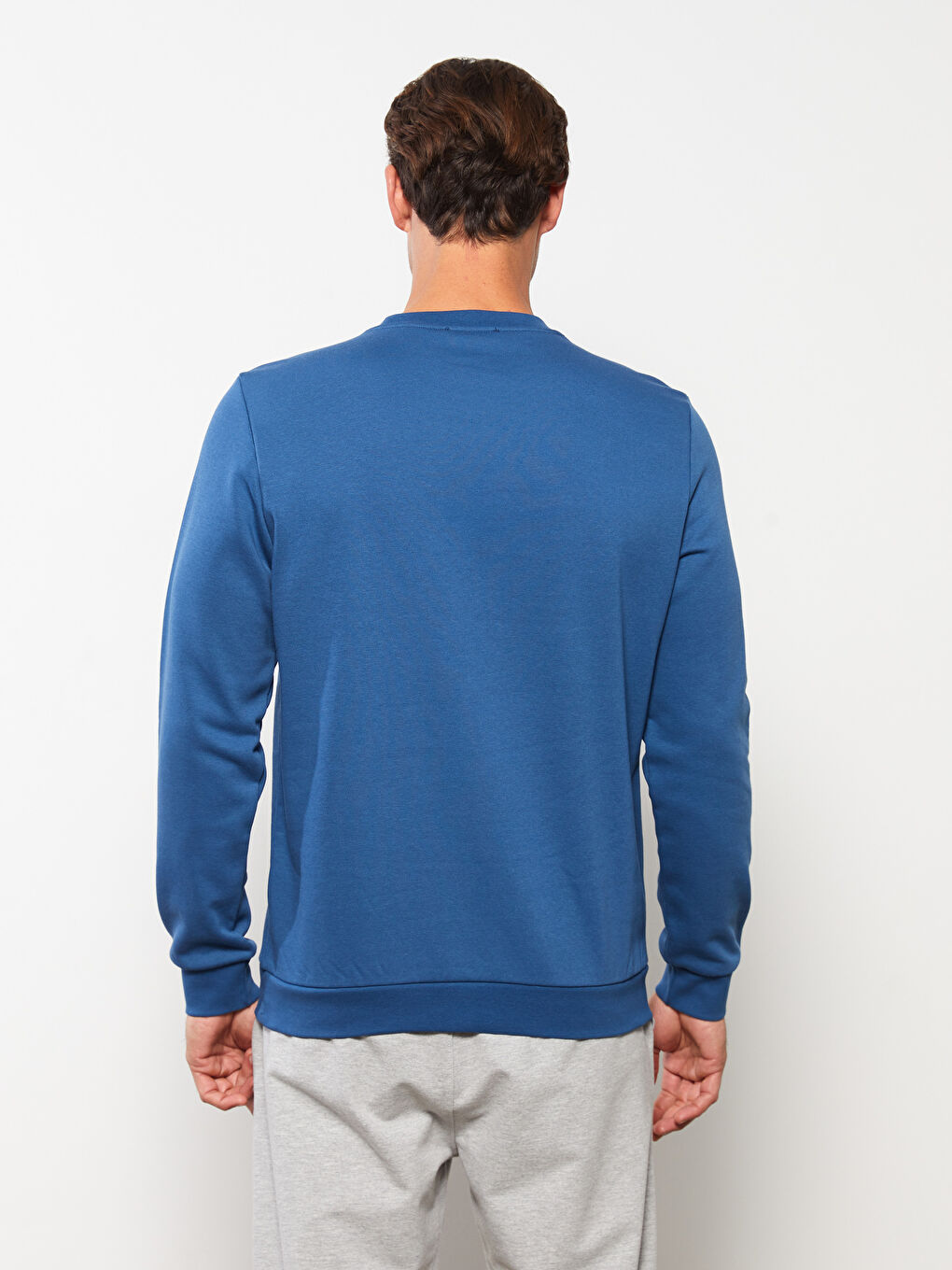 Crew Neck Printed Men's Thick Sweatshirt-4