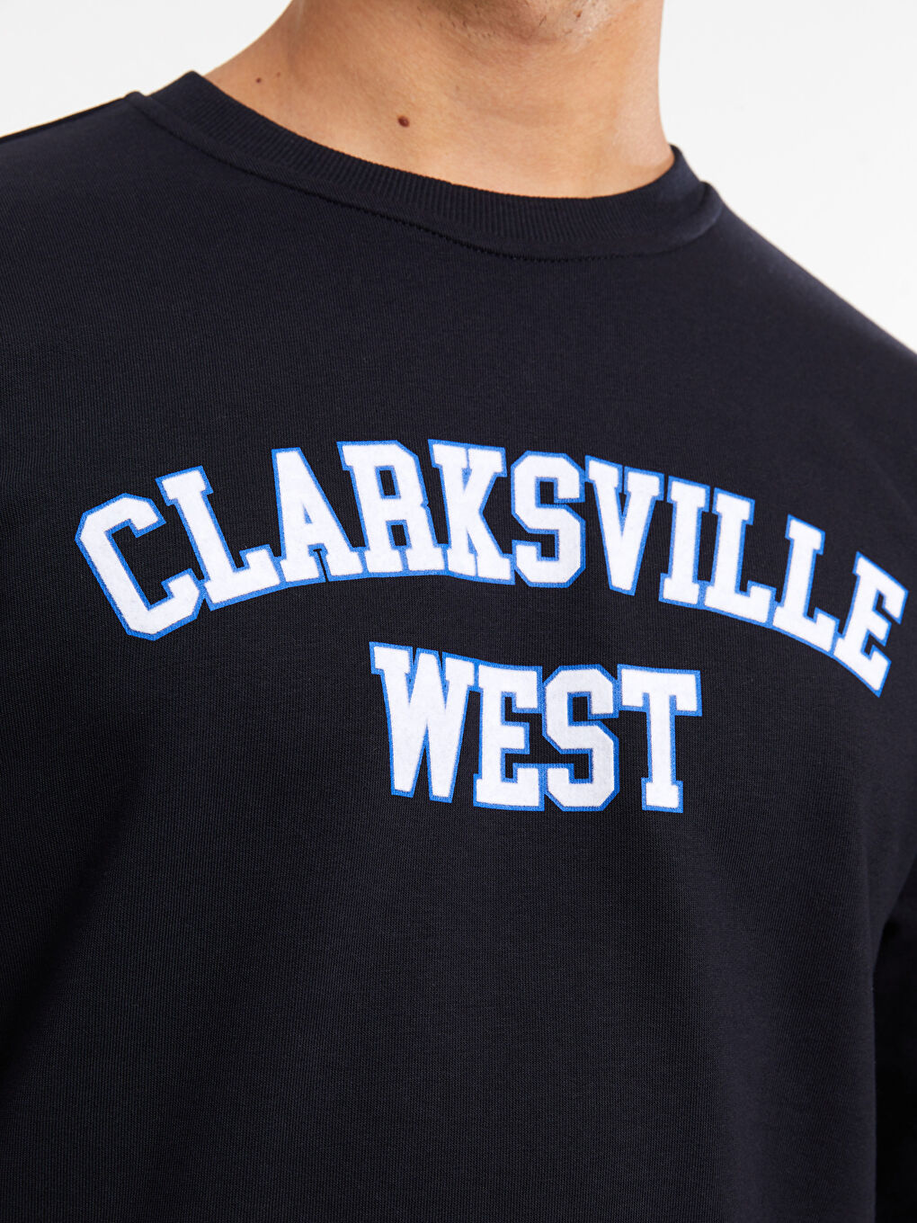 Crew Neck Long Sleeve Printed Men's Sweatshirt-3