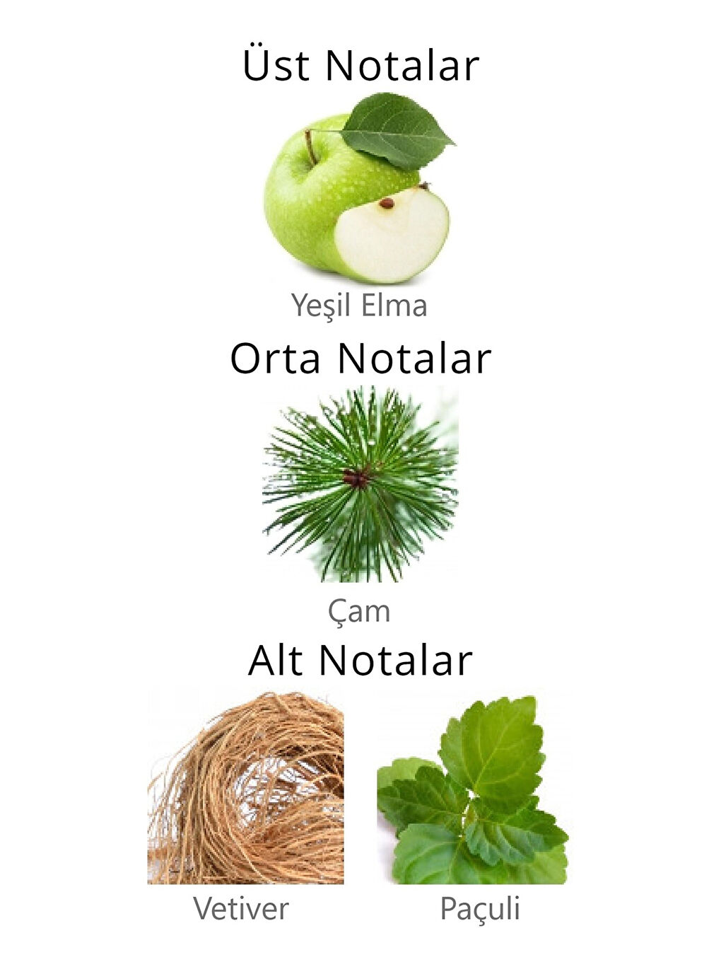 1987 APCN001804 Blue EDP 100 ml Erkek Parfüm-1