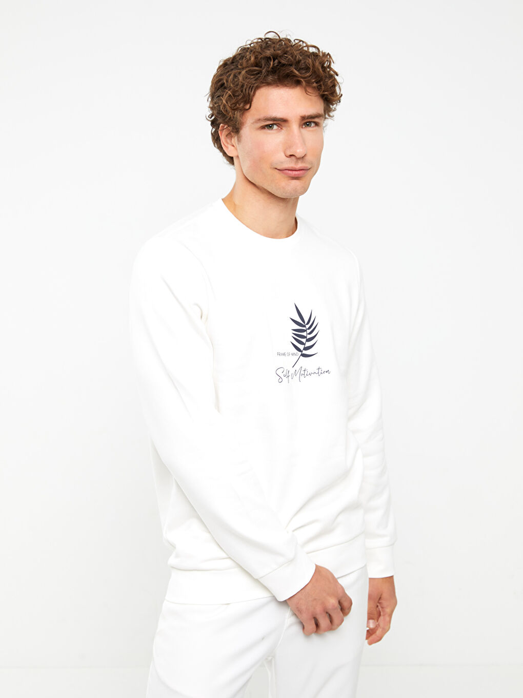 Crew Neck Printed Men's Thick Sweatshirt-1