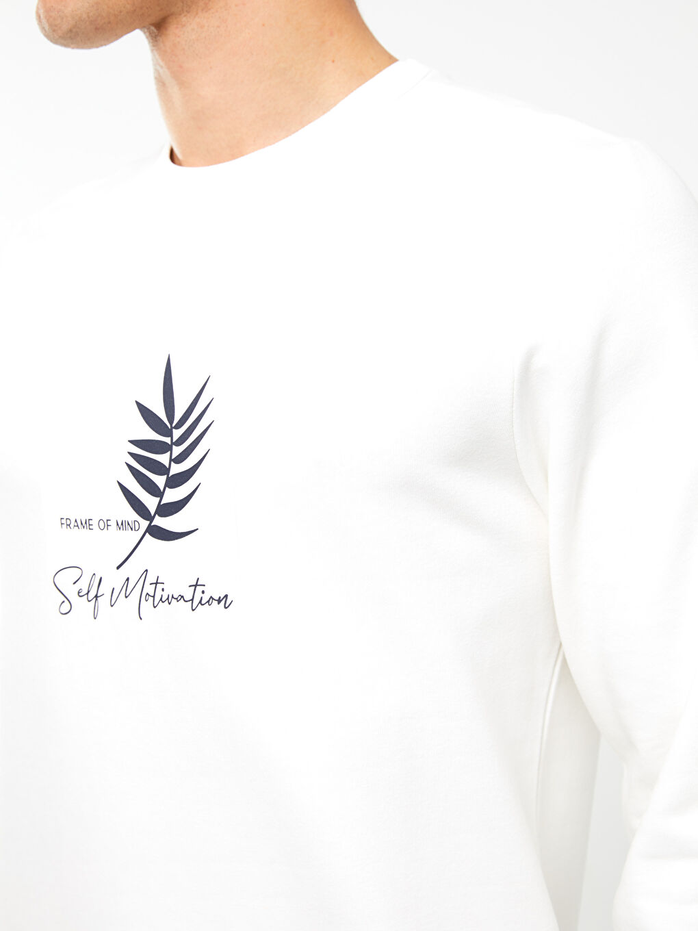 Crew Neck Printed Men's Thick Sweatshirt-3