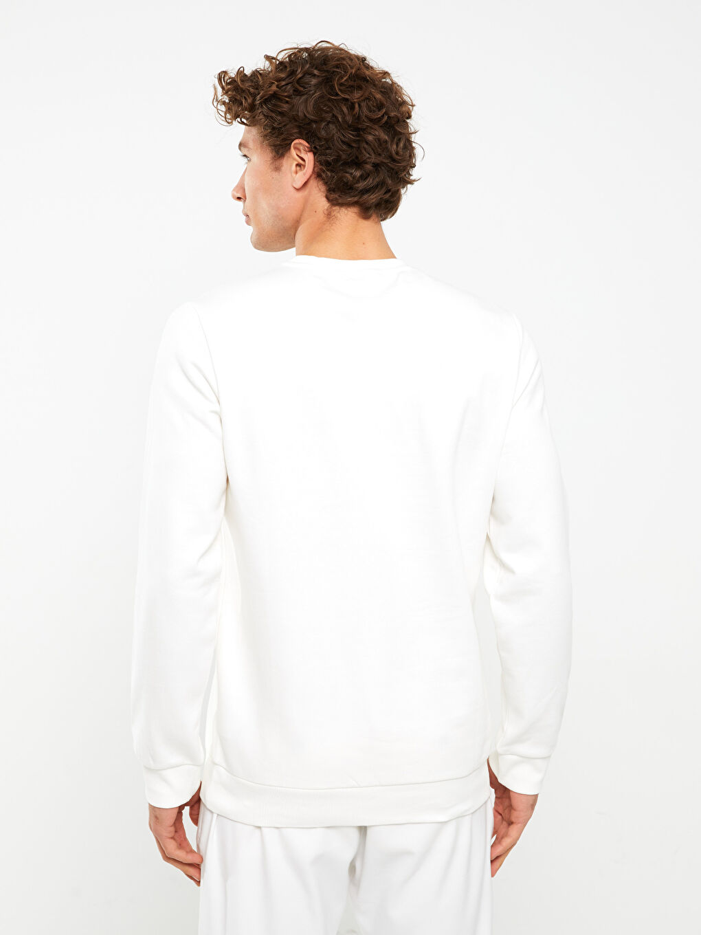 Crew Neck Printed Men's Thick Sweatshirt-4