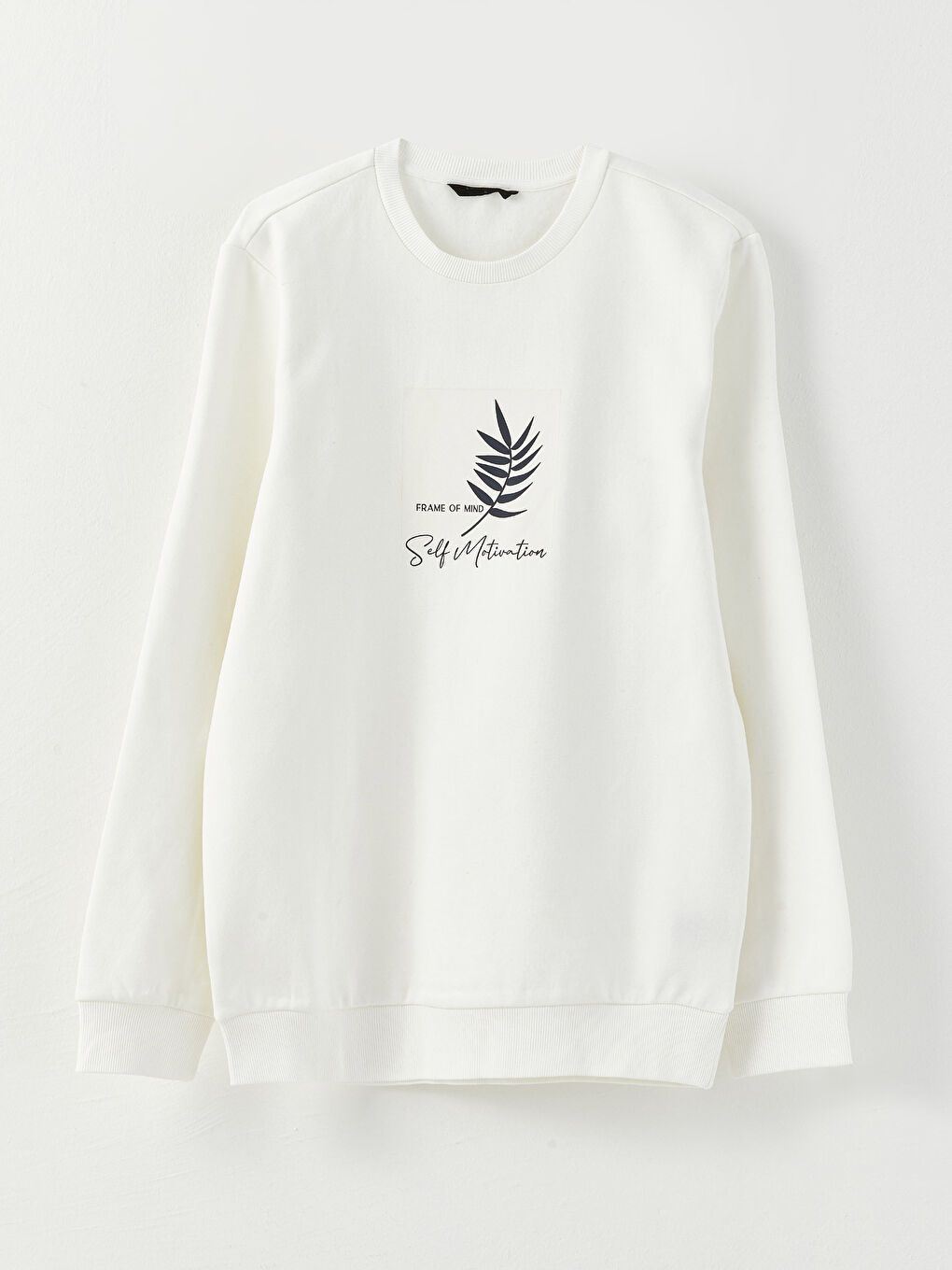 Crew Neck Printed Men's Thick Sweatshirt-5