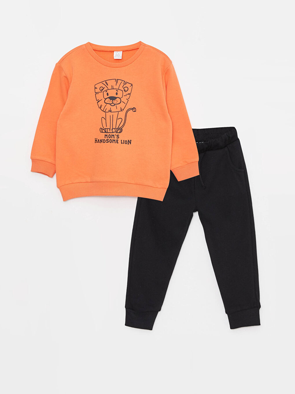 Crew Neck Long Sleeve Printed Baby Boys' Sweatshirt and Pants 2 Pack Set